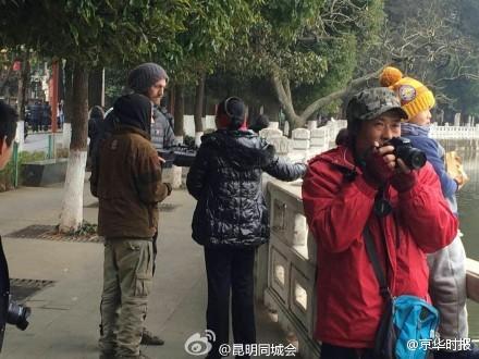 网曝昆明老外持枪打红嘴鸥 派出所称正在处理