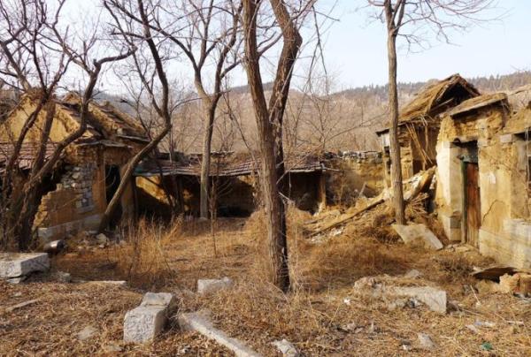 1455292510999264.jpg 农村真的衰败了吗?.jpg