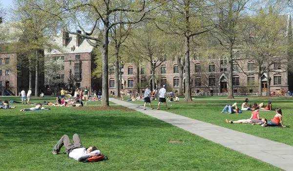 深扒欧美大学差异：师生交流方式对比鲜明