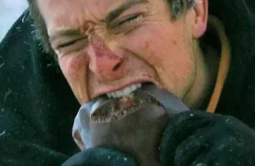 1457575480438400.jpg 1.jpg