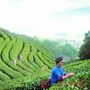 1458629031837826.jpg 3577747486.jpg