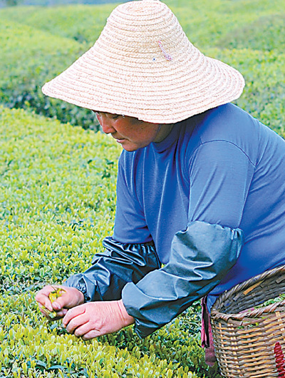 1458875007388697.jpg 1458840684204_1.jpg