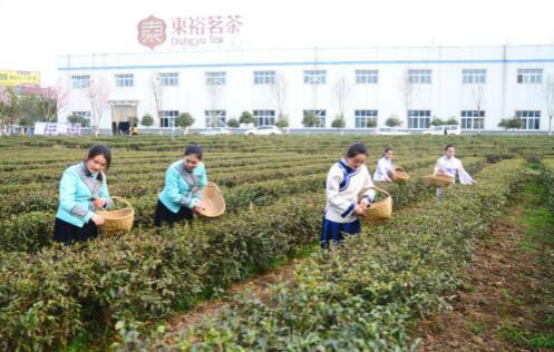 1458888242887521.jpg 1.jpg