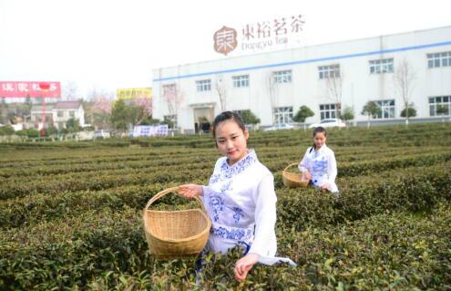 1458888250330114.jpg 2.jpg