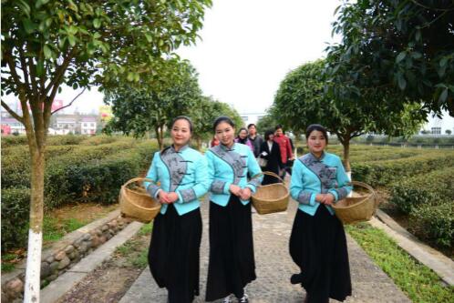 1458888260808981.jpg 3.jpg