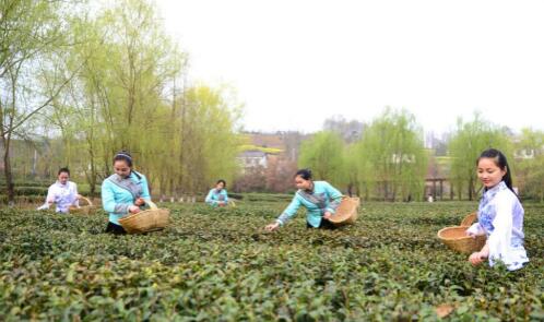 1458888272164563.jpg 4.jpg