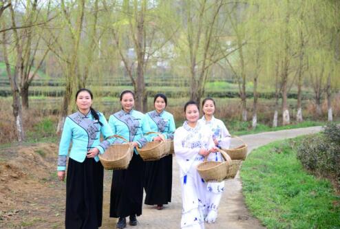 1458888326518095.jpg 6.jpg