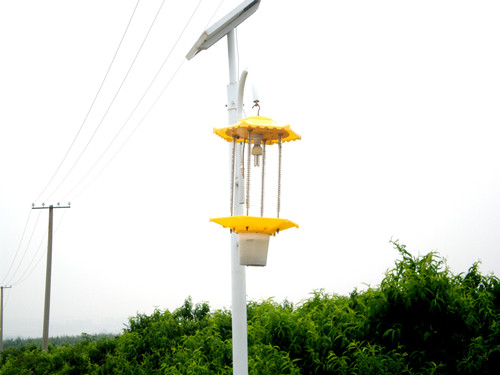 002杀虫路灯.JPG