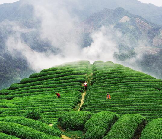 1459217852542000.jpg 6.jpg