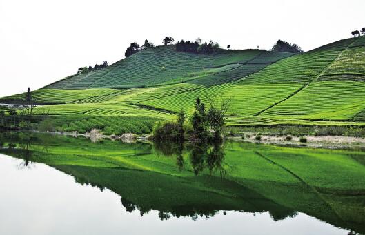 1459217863380578.jpg 5.jpg