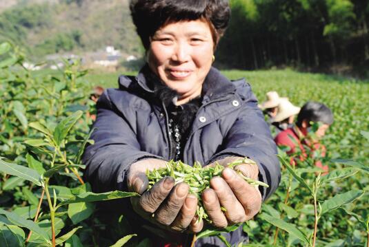 1459217887371161.jpg 2.jpg