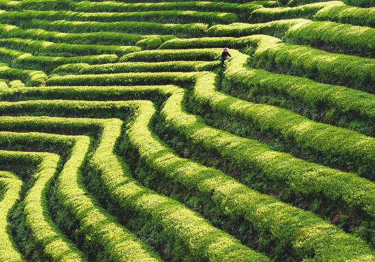 1459217899640257.jpg 3.jpg