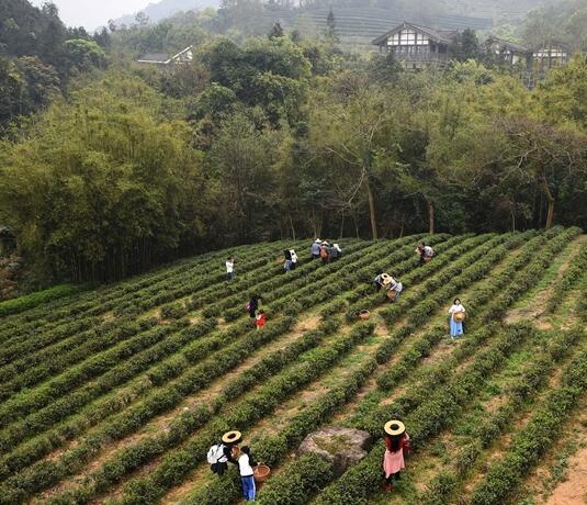 1459482479634510.jpg QQ截图20160401114739.jpg