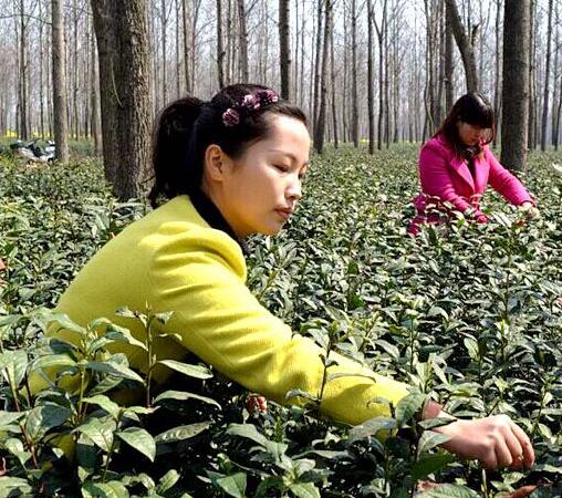 1459486708139546.jpg QQ截图20160401125929.jpg