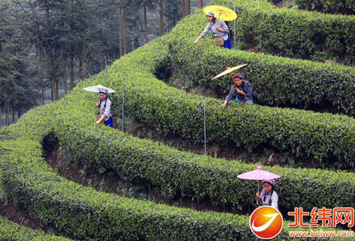 1459828383261142.jpg 20160405092454463.jpg