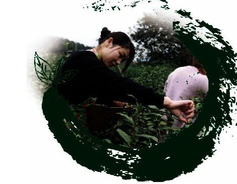 1459909382525624.jpg QQ截图20160406102211.jpg