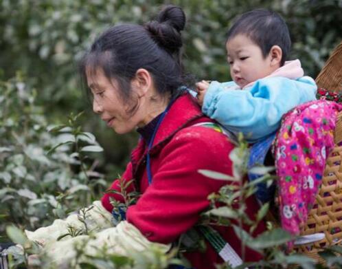 1460007648400046.jpg QQ截图20160407133957.jpg