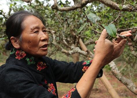 1460431361399330.jpg QQ截图20160412112141.jpg