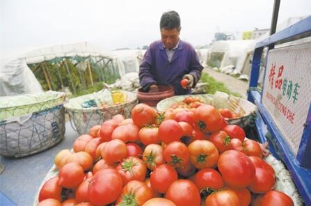 1460452036349763.jpg 48.jpg