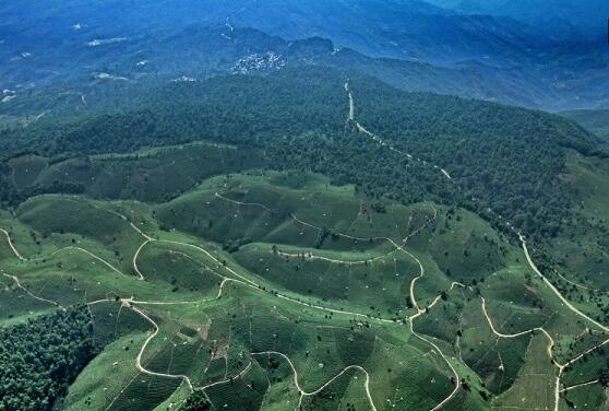 1460517763879820.jpg QQ截图20160413111925.jpg