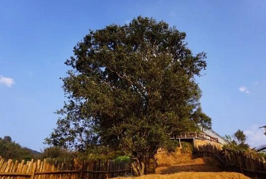 1460517793176788.jpg QQ截图20160413112032.jpg