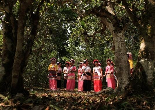 1460517810399098.jpg QQ截图20160413112045.jpg