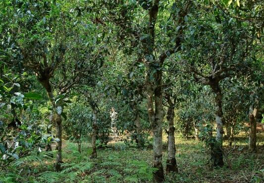 1460517827375023.jpg QQ截图20160413112106.jpg