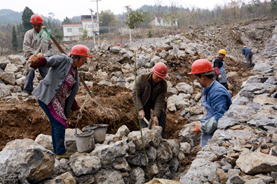 三峡库区生态屏障区羊角镇水土保持项目施工现场 (7)_副本.jpg