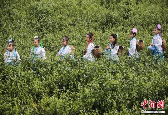 1460947481797595.jpg QQ截图20160418104303.jpg