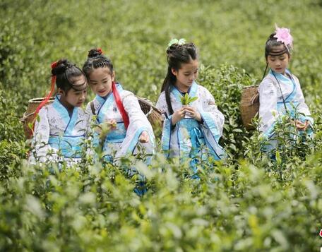 1460947491257536.jpg QQ截图20160418104311.jpg