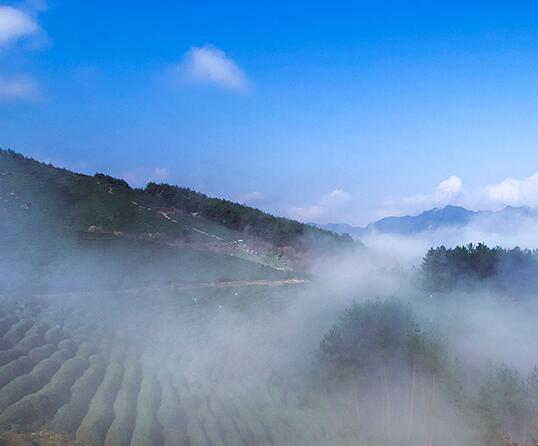 1460948723402243.jpg QQ截图20160418110411.jpg