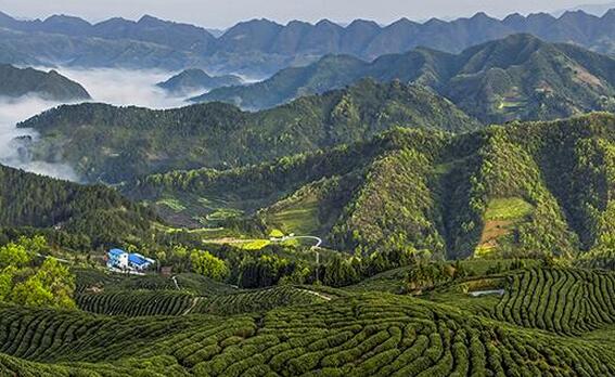 1460948840648182.jpg QQ截图20160418110657.jpg