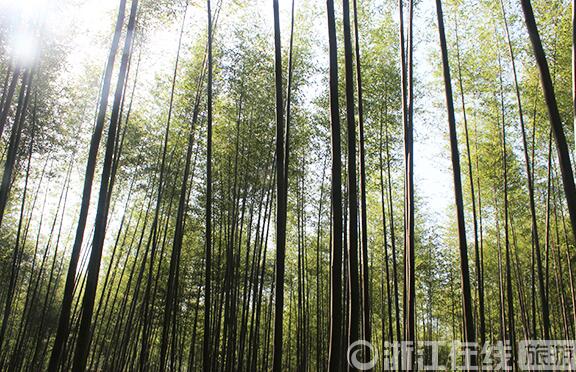 1461122254457790.jpg QQ截图20160420111552.jpg