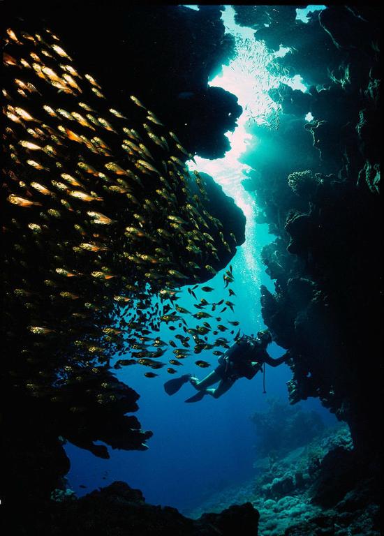 太空档案：10张入选旅行者金唱片的国家地理摄影作品