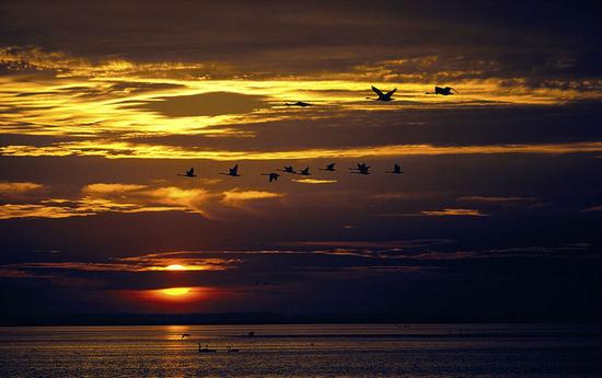 太空档案：10张入选旅行者金唱片的国家地理摄影作品