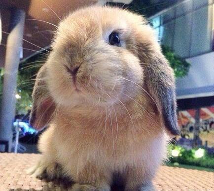 1462419910871514.jpg QQ截图20160505114131.jpg