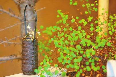 郭义一个90后的茶空间梦想