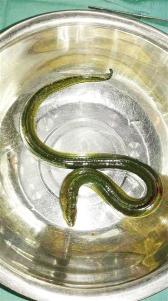 1462524146256107.jpg RAyk-fxryhhh1691954.jpg