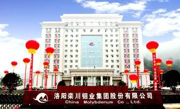 洛阳钼业.jpg