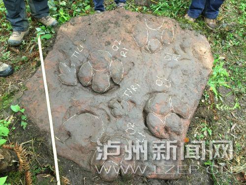 1462951481417786.jpg 128975198_14629273492461n.jpg