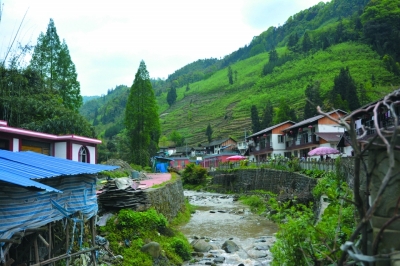 地震后芦山县大烟溪村的轻钢房试验区 拷贝_b.jpg