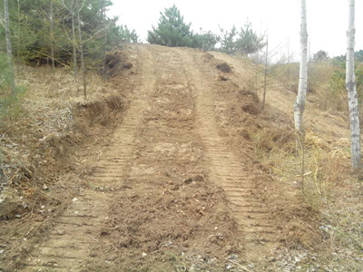 采挖者修的运输车道.jpg