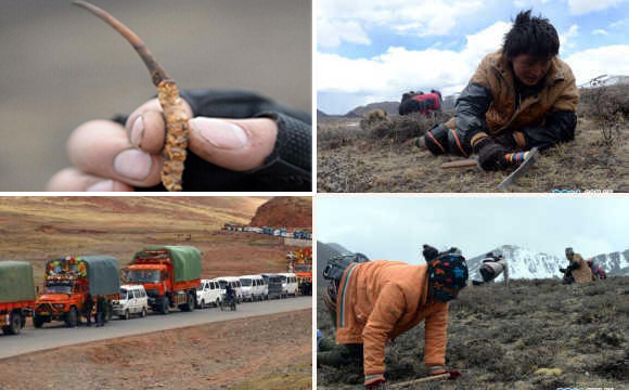 1463534992231223.jpg zfdhggfhgfh.jpg