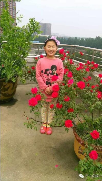 驻马店一小学女孩摔伤昏迷 单亲母亲悲痛求助