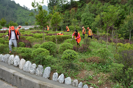 1464318147719056.jpg 01.jpg