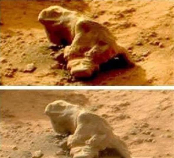 3、火星蜥蜴。（图／今日头条）