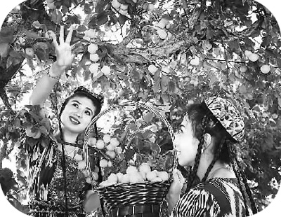 1465181725549717.jpg 1464976740308_1.jpg