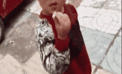 3岁男童叼烟拦车乞讨：睡公交站台 其父拒绝救助