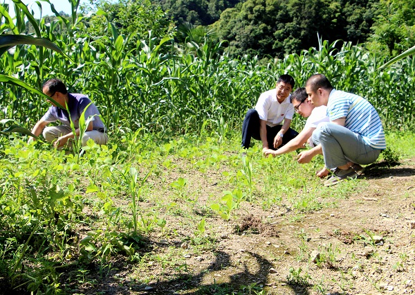 3 党员干部重回田间，崇尚劳动光荣，体味群众艰辛与不易。10.jpg