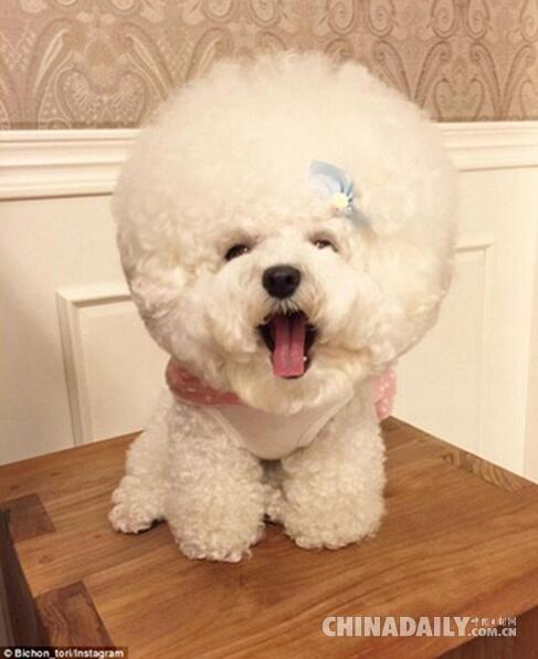 1467255623456534.jpg 02.jpg